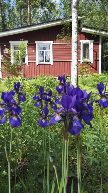 Дома для отпуска Summer Cottage Askola near Porvoo Askola-33